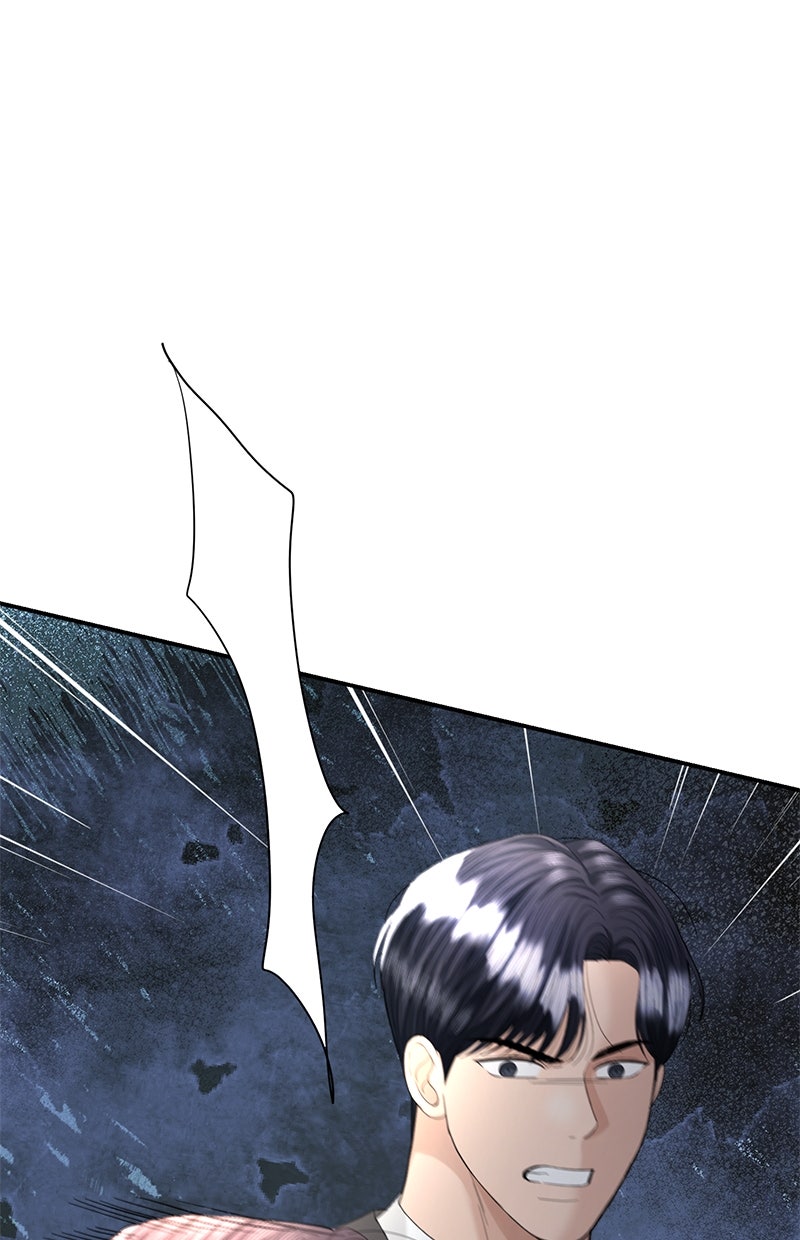 Read Perfect Marriage Revenge Manga Online