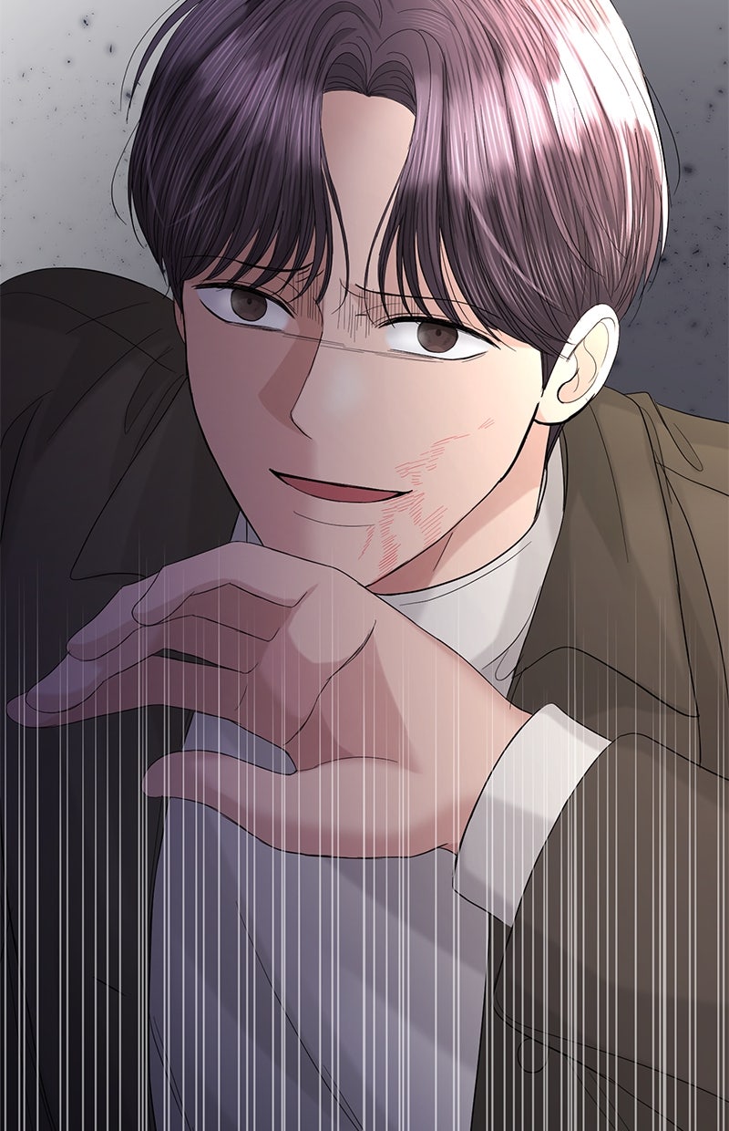 Read Perfect Marriage Revenge Manga Online