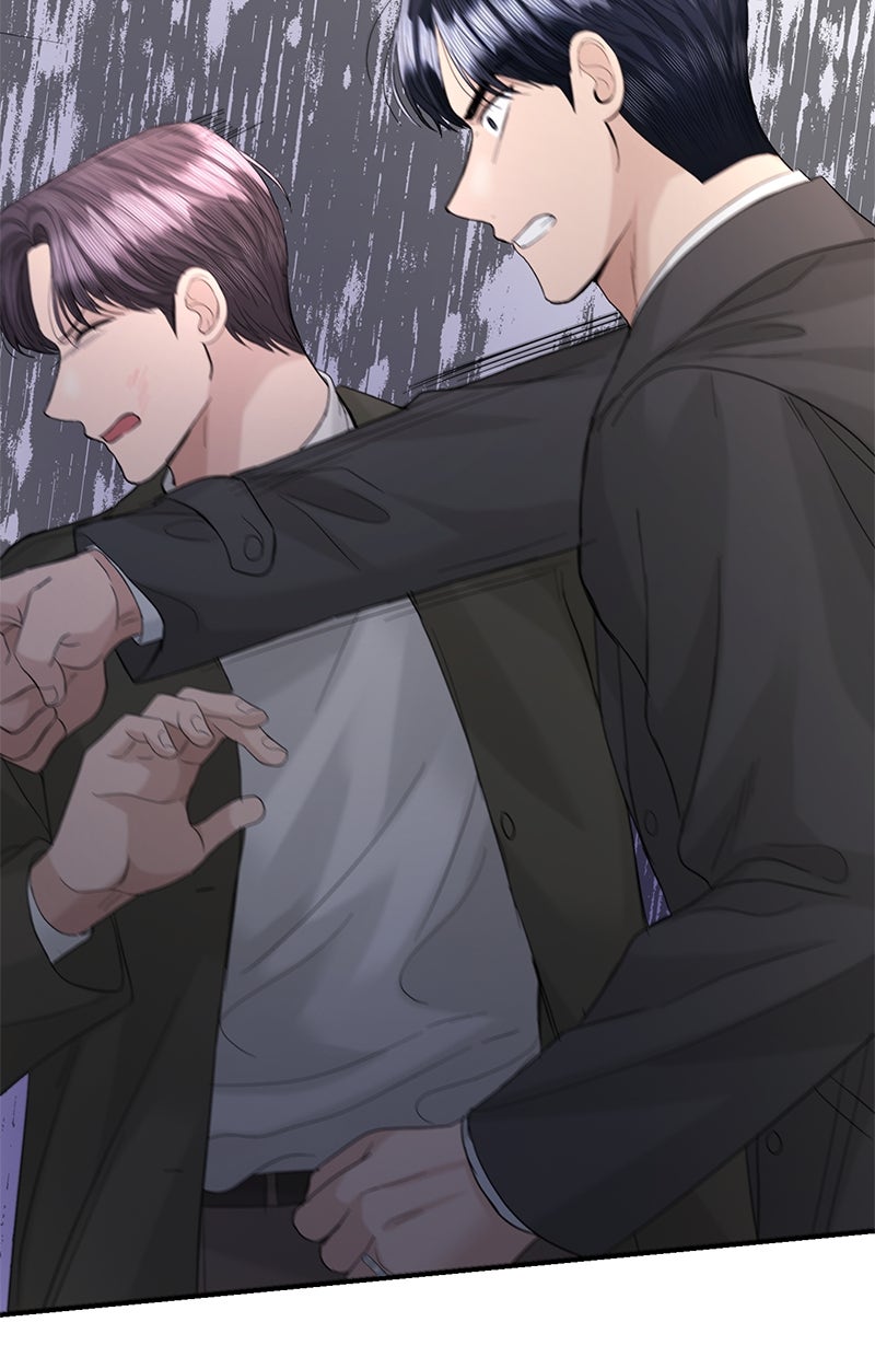 Read Perfect Marriage Revenge Manga Online