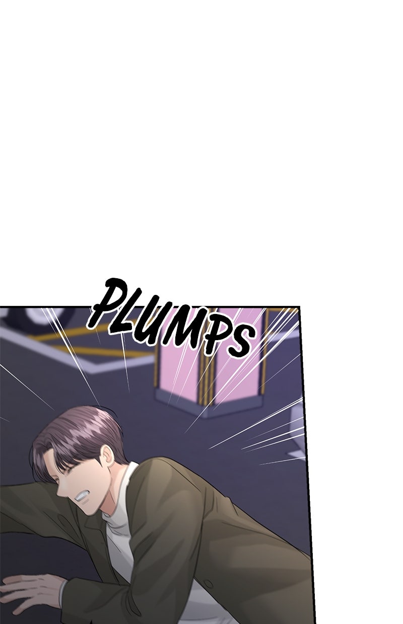 Read Perfect Marriage Revenge Manga Online