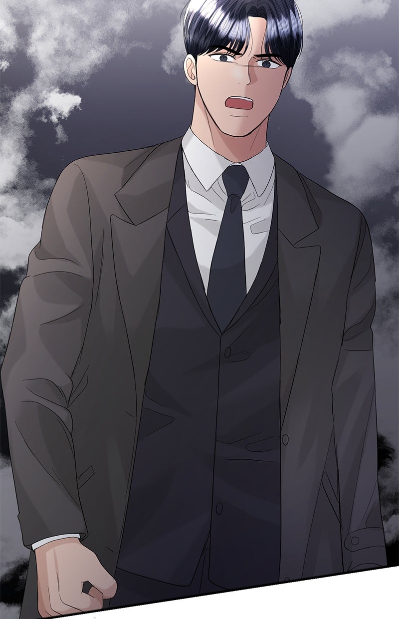 Read Perfect Marriage Revenge Manga Online