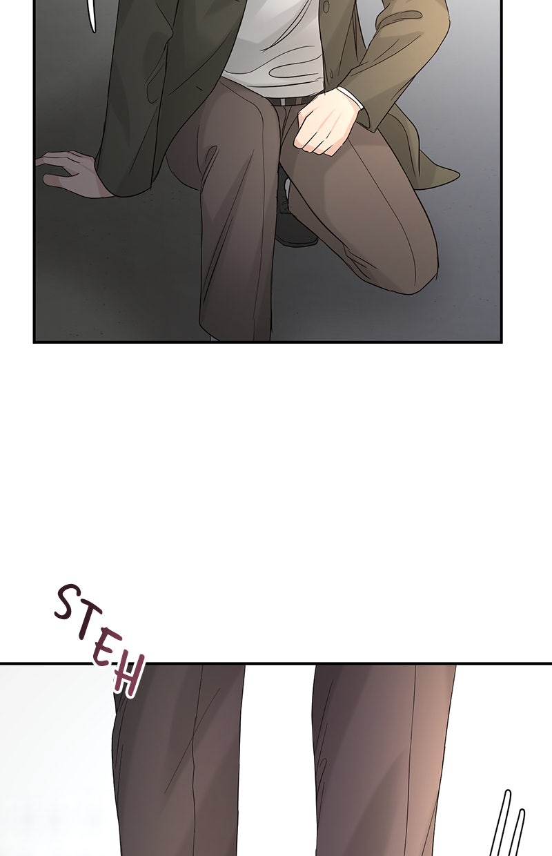 Read Perfect Marriage Revenge Manga Online