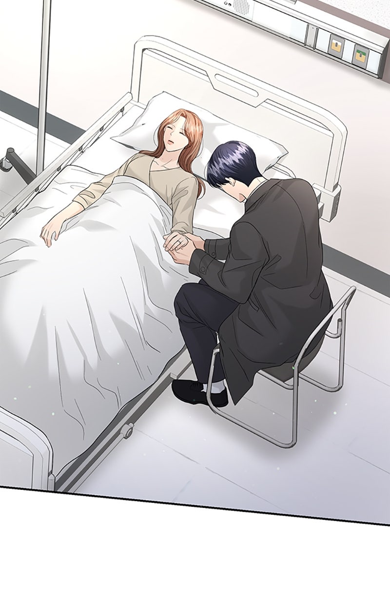 Read Perfect Marriage Revenge Manga Online