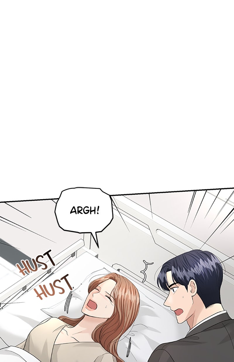 Read Perfect Marriage Revenge Manga Online