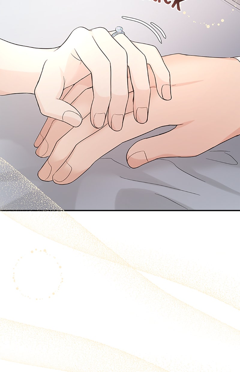 Read Perfect Marriage Revenge Manga Online