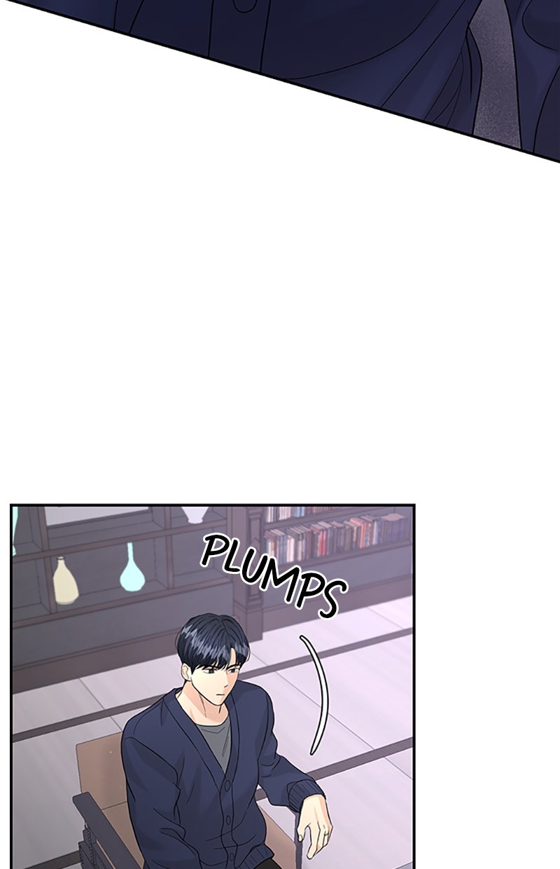 Read Perfect Marriage Revenge Manga Online