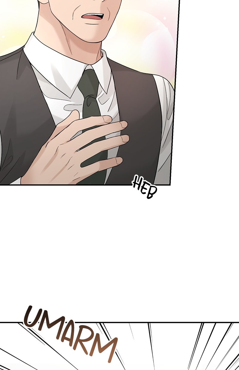 Read Perfect Marriage Revenge Manga Online