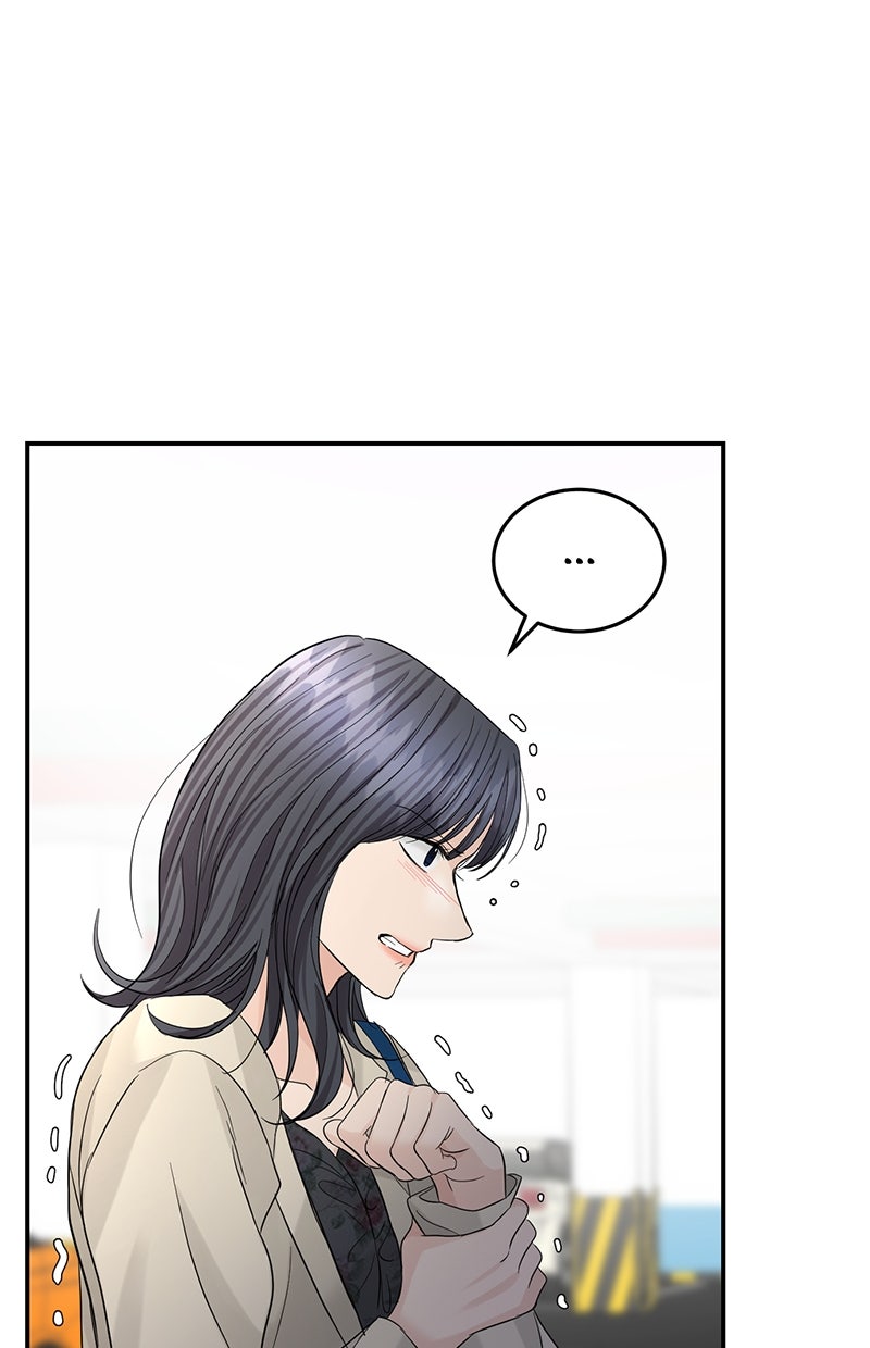 Read Perfect Marriage Revenge Manga Online