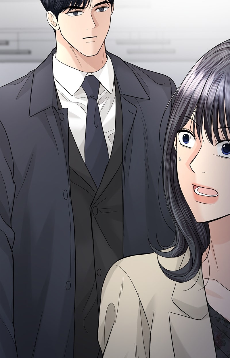 Read Perfect Marriage Revenge Manga Online