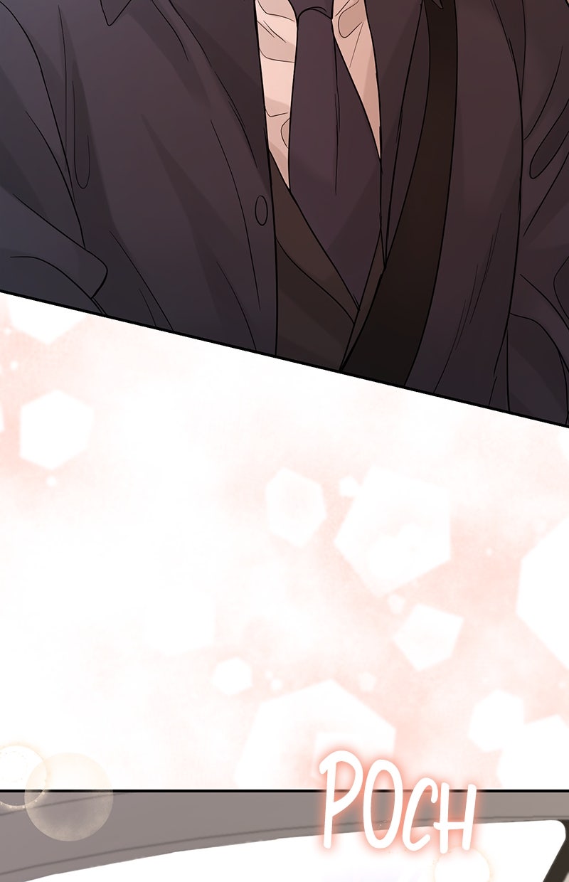 Read Perfect Marriage Revenge Manga Online