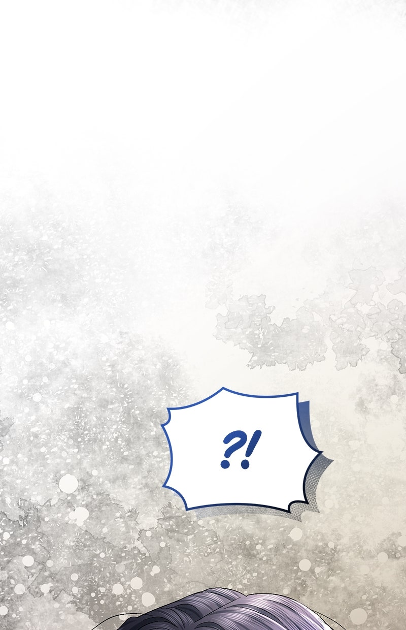 Read Perfect Marriage Revenge Manga Online