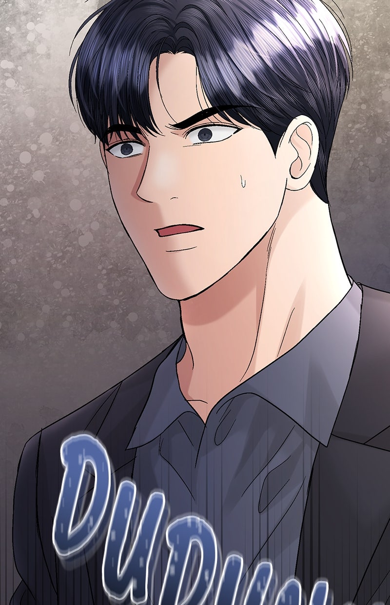 Read Perfect Marriage Revenge Manga Online