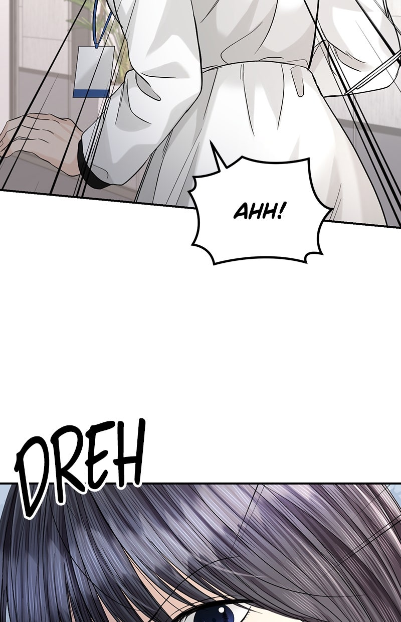 Read Perfect Marriage Revenge Manga Online