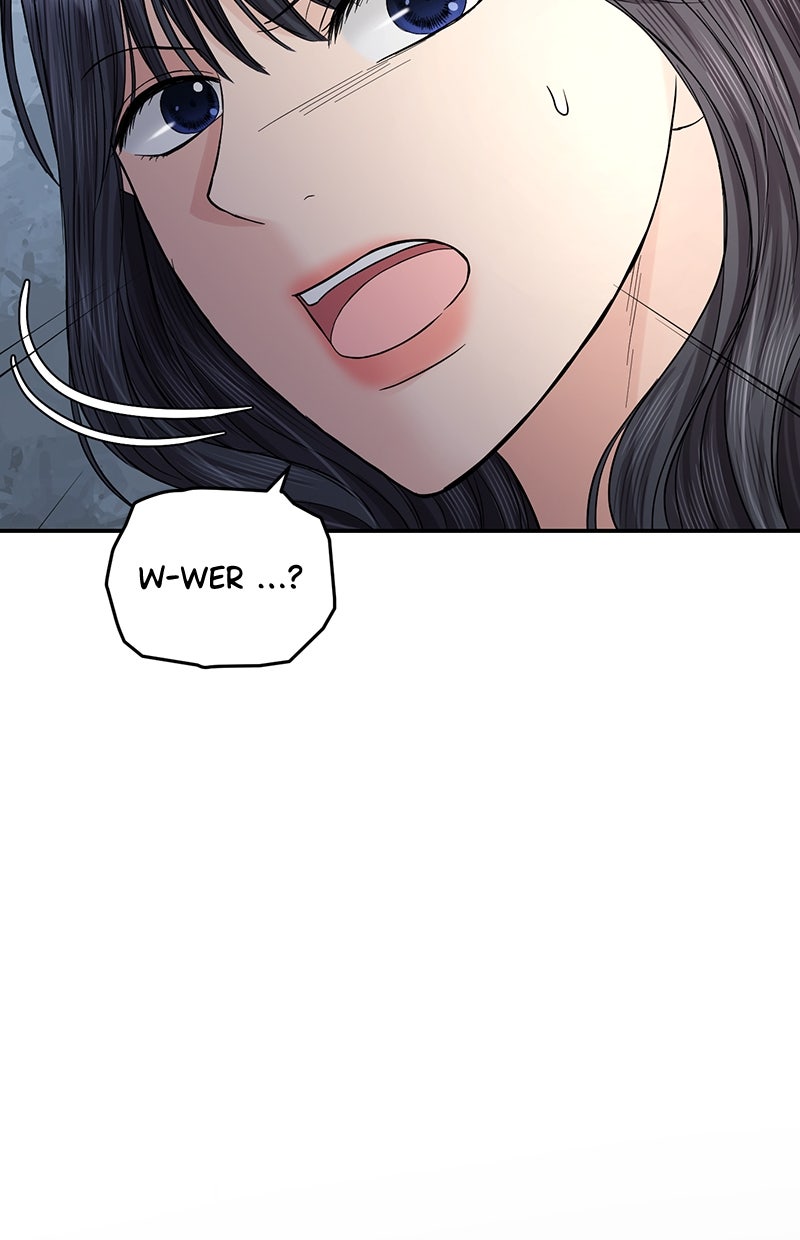 Read Perfect Marriage Revenge Manga Online