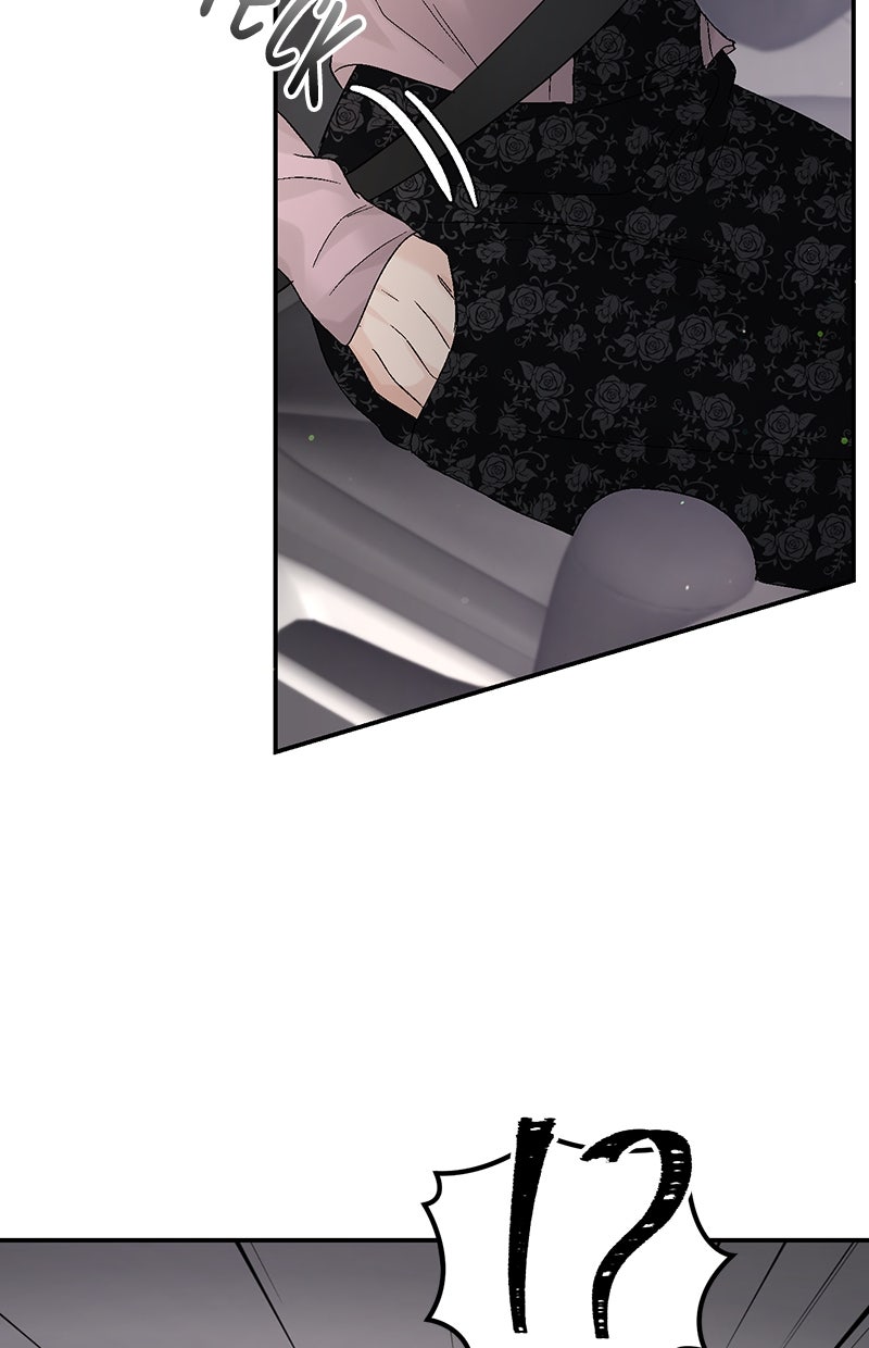 Read Perfect Marriage Revenge Manga Online