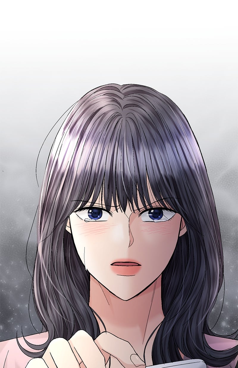 Read Perfect Marriage Revenge Manga Online