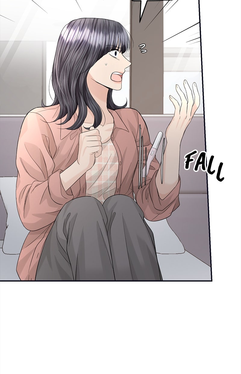 Read Perfect Marriage Revenge Manga Online