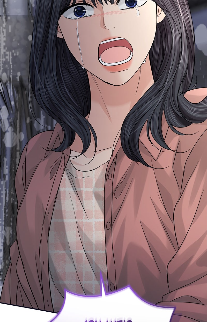 Read Perfect Marriage Revenge Manga Online