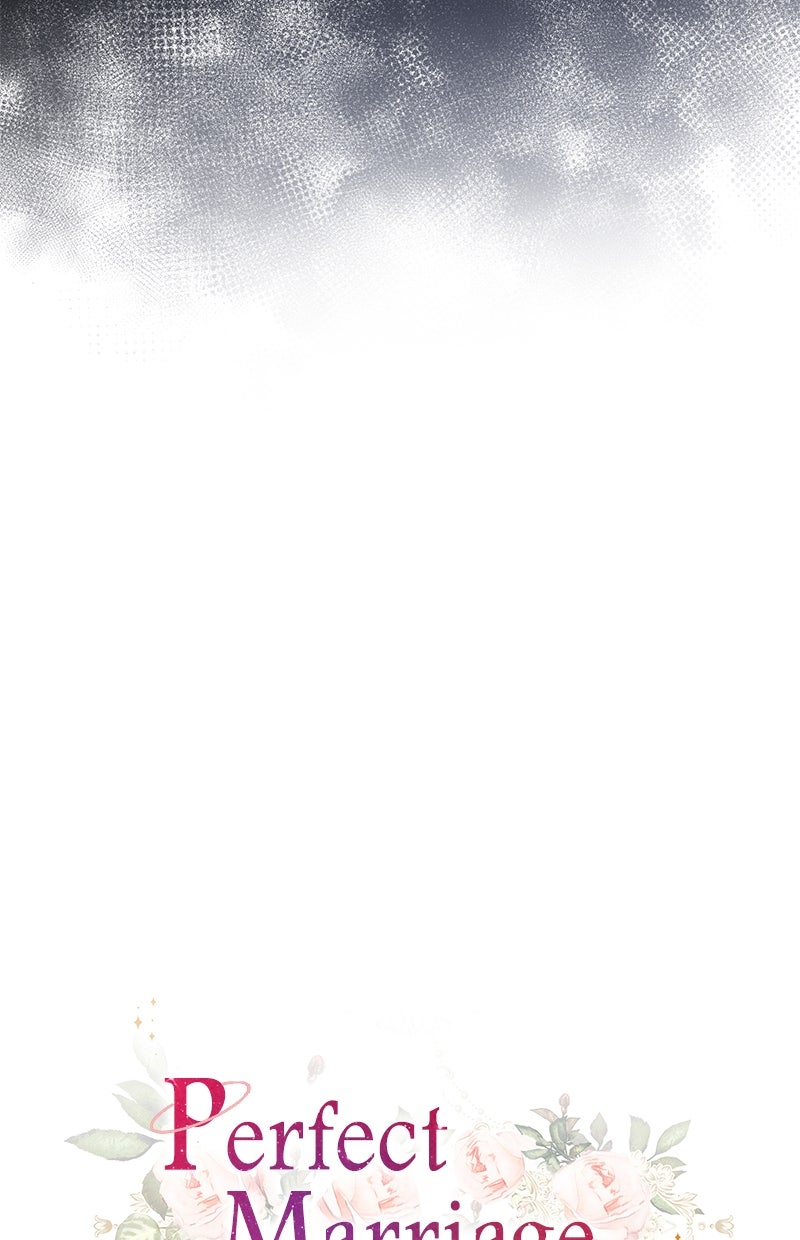 Read Perfect Marriage Revenge Manga Online