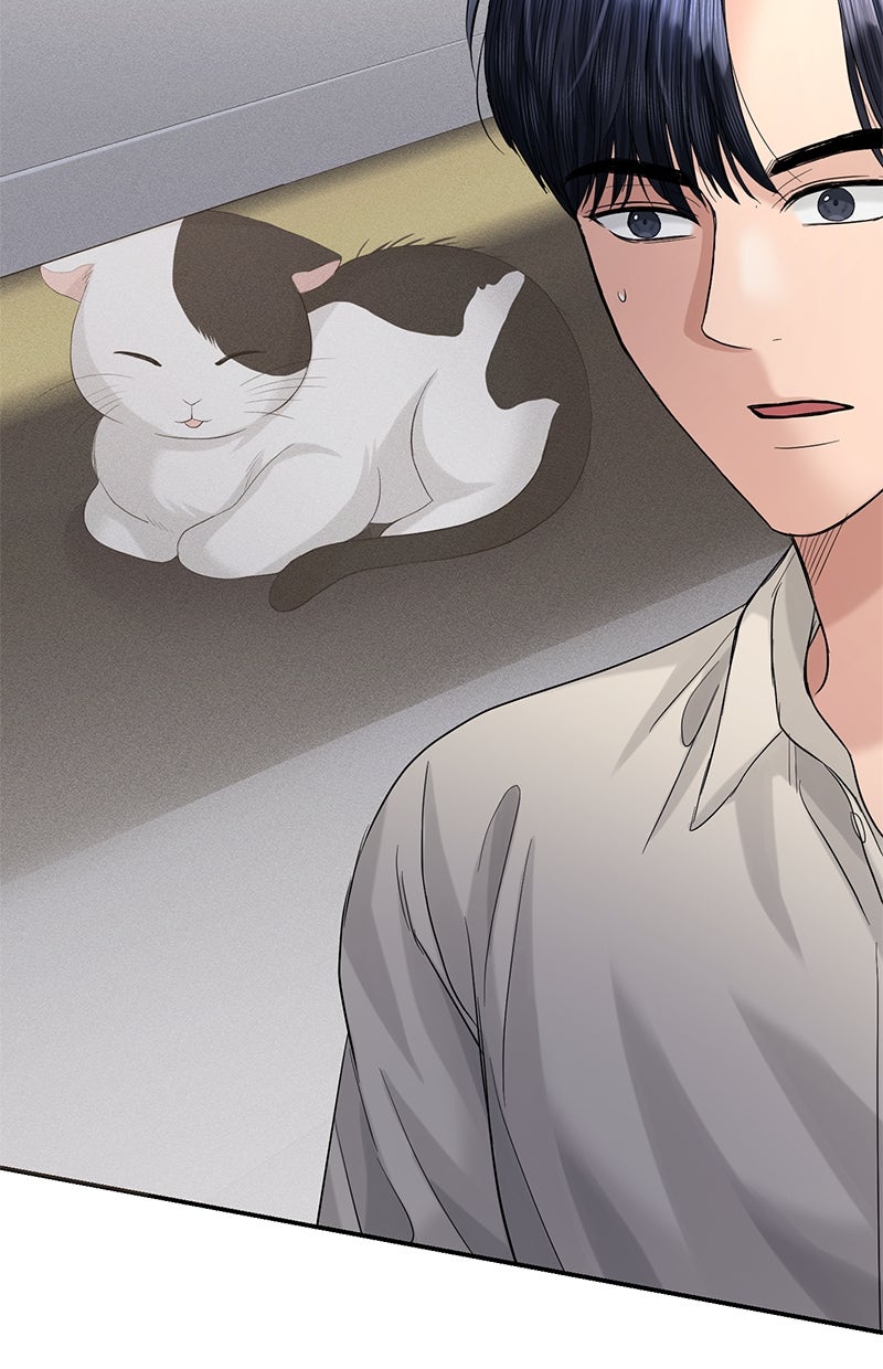 Read Perfect Marriage Revenge Manga Online