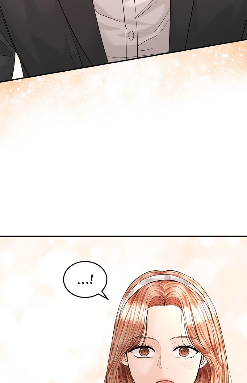 Read Perfect Marriage Revenge Manga Online