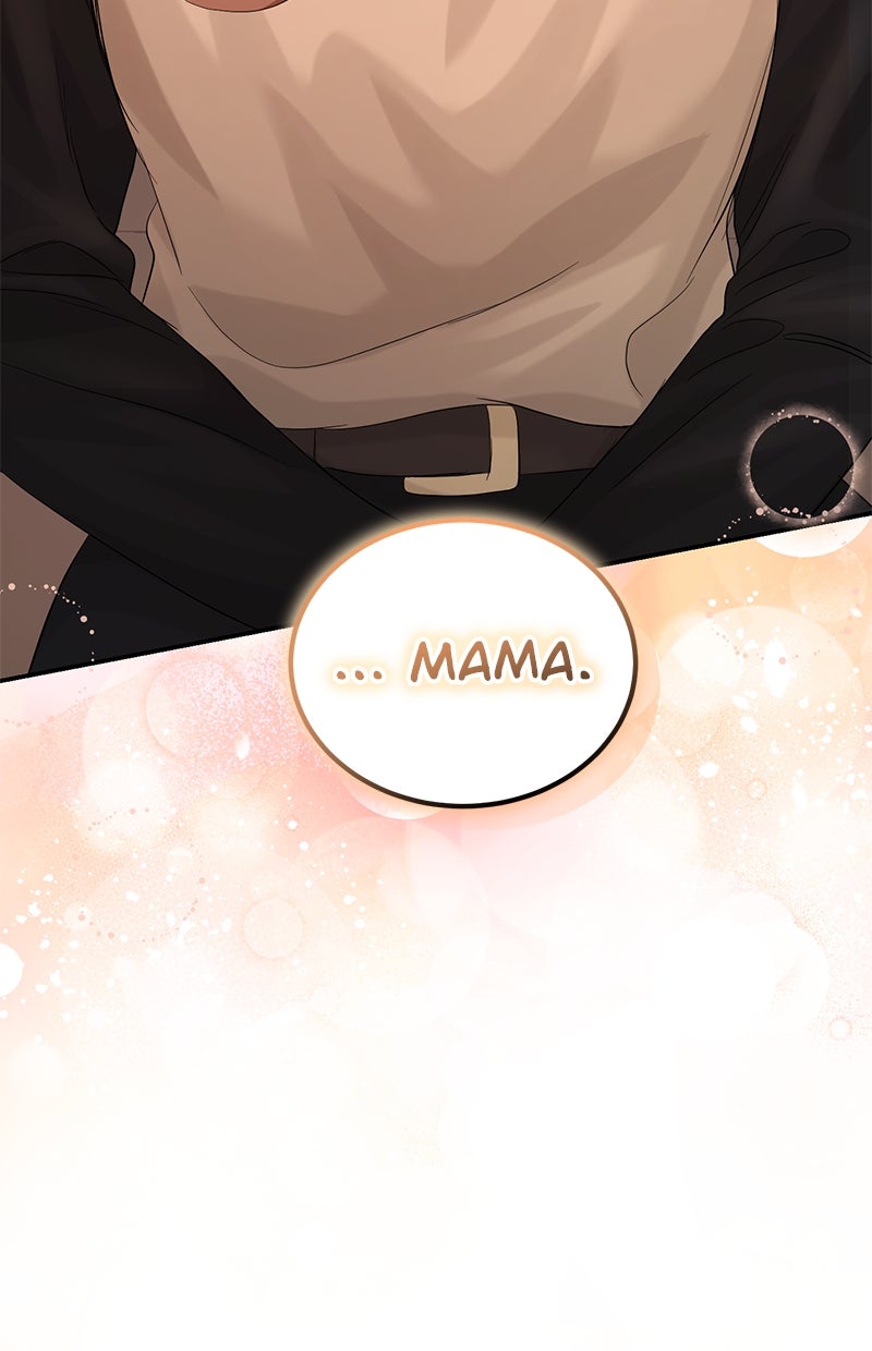 Read Perfect Marriage Revenge Manga Online