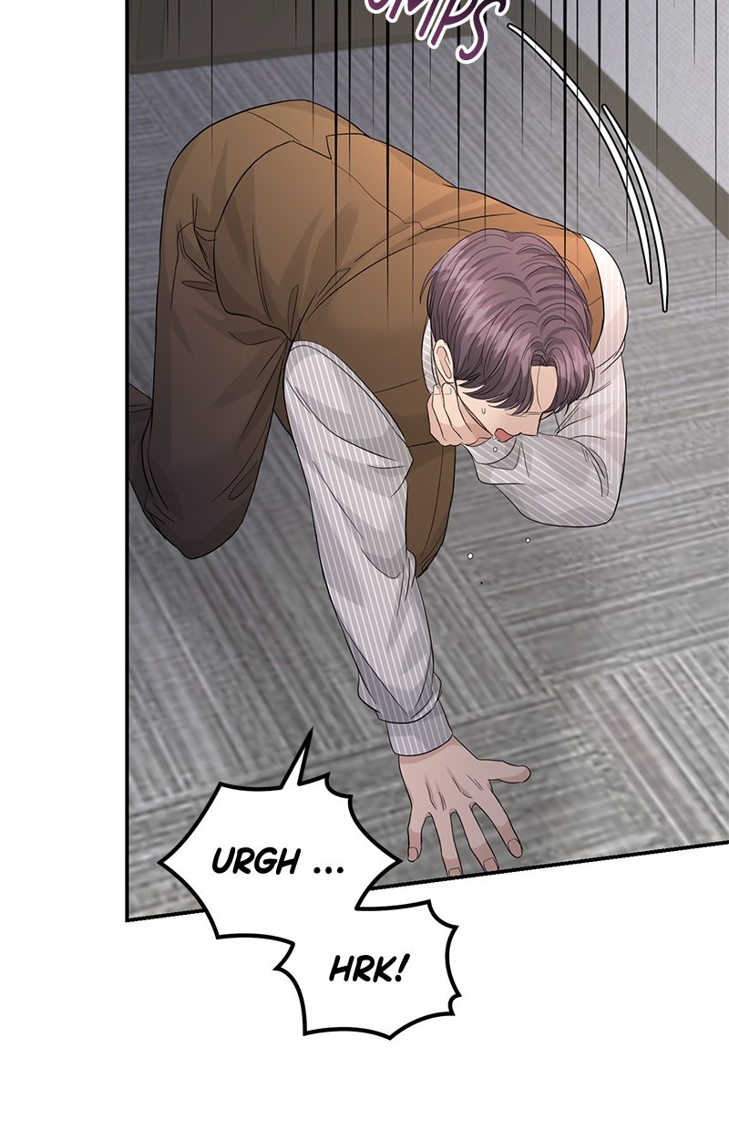 Read Perfect Marriage Revenge Manga Online