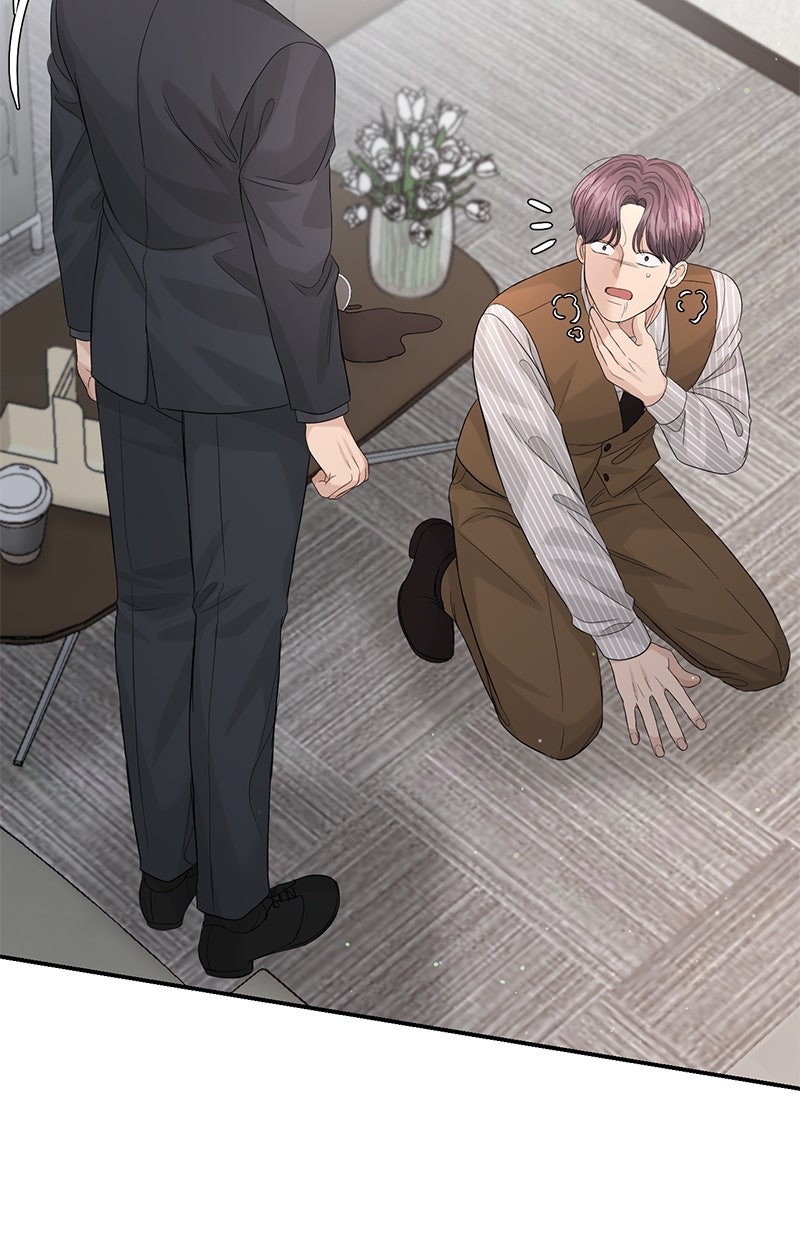 Read Perfect Marriage Revenge Manga Online