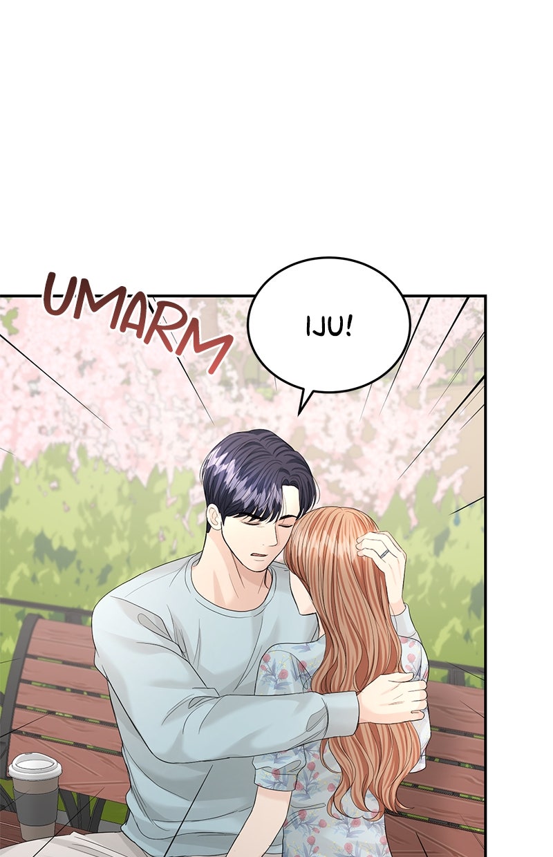 Read Perfect Marriage Revenge Manga Online