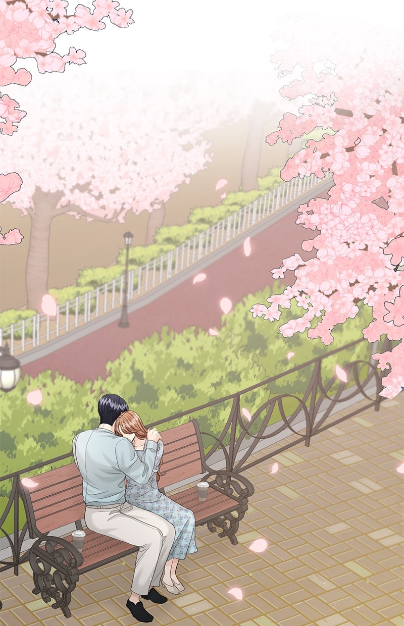 Read Perfect Marriage Revenge Manga Online