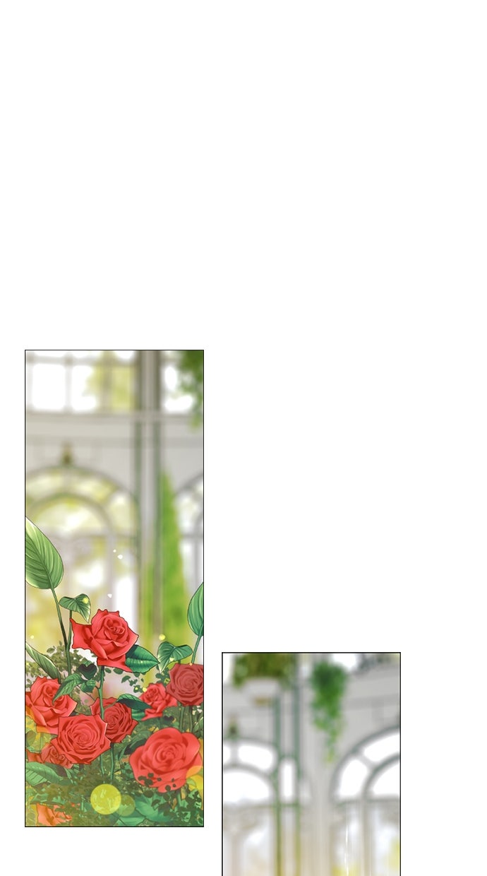 Read Serena Manga Online