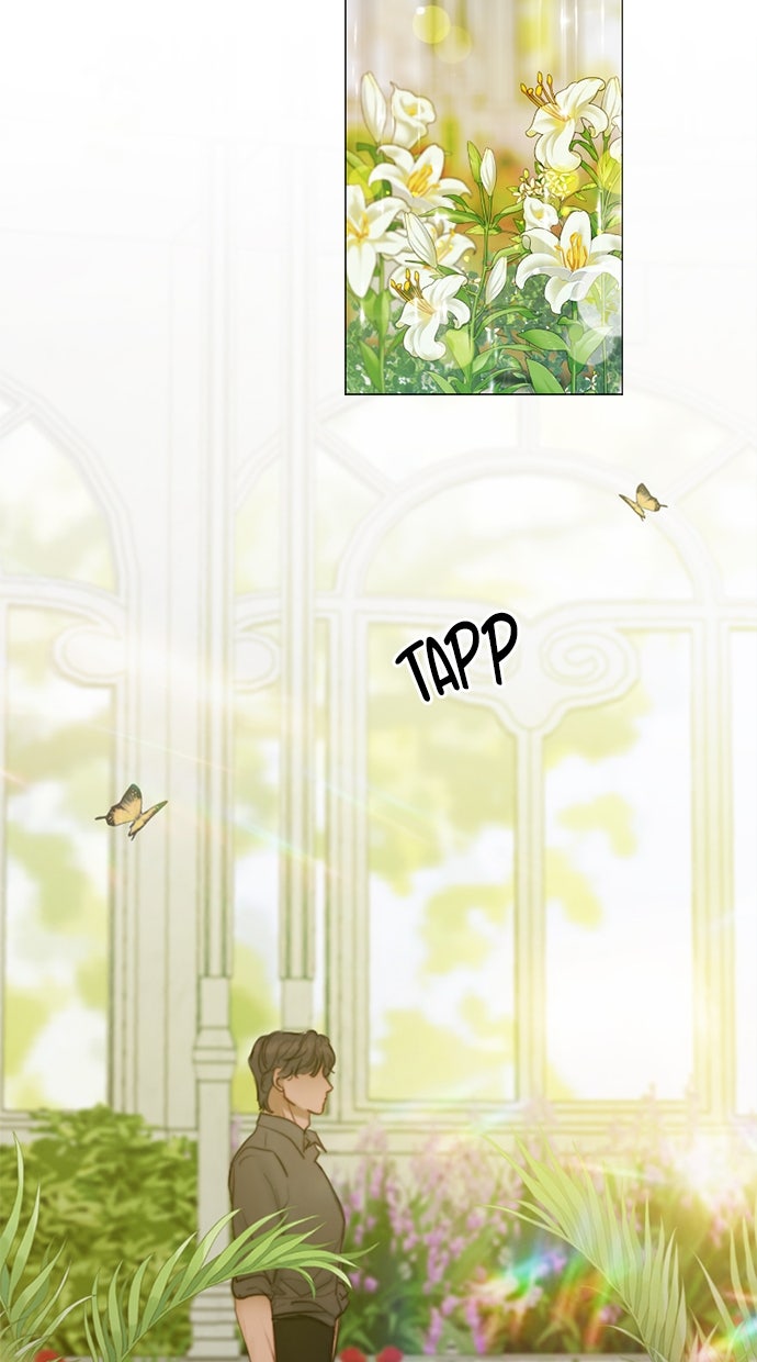 Read Serena Manga Online