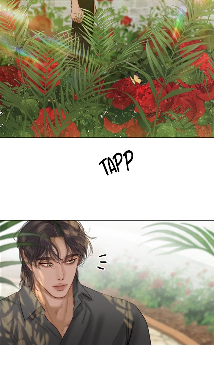 Read Serena Manga Online