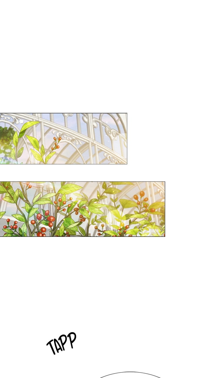 Read Serena Manga Online