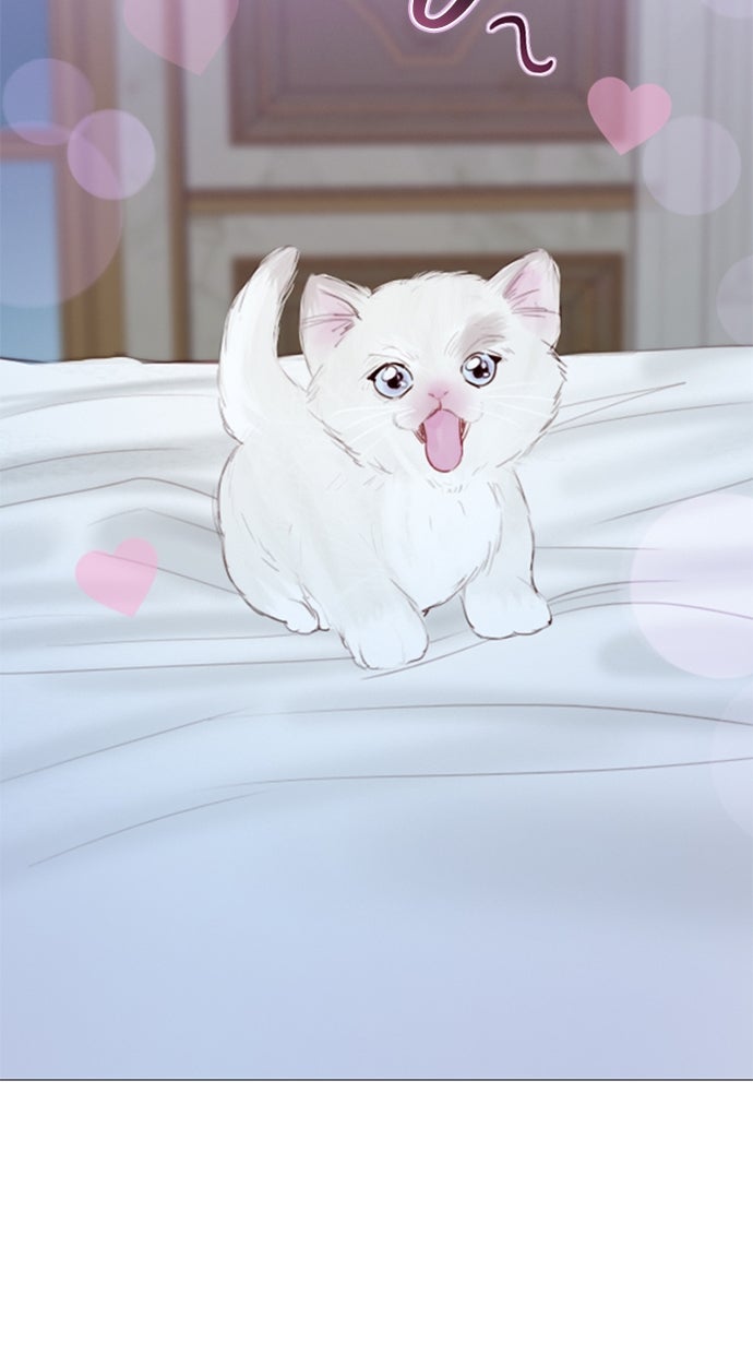 Read Serena Manga Online