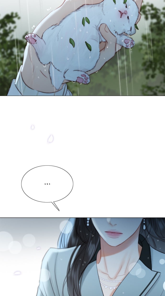 Read Serena Manga Online