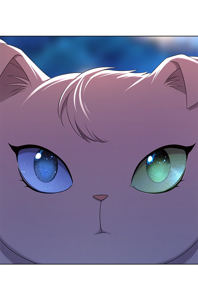 Read THE STAR SEEKERS Manga Online
