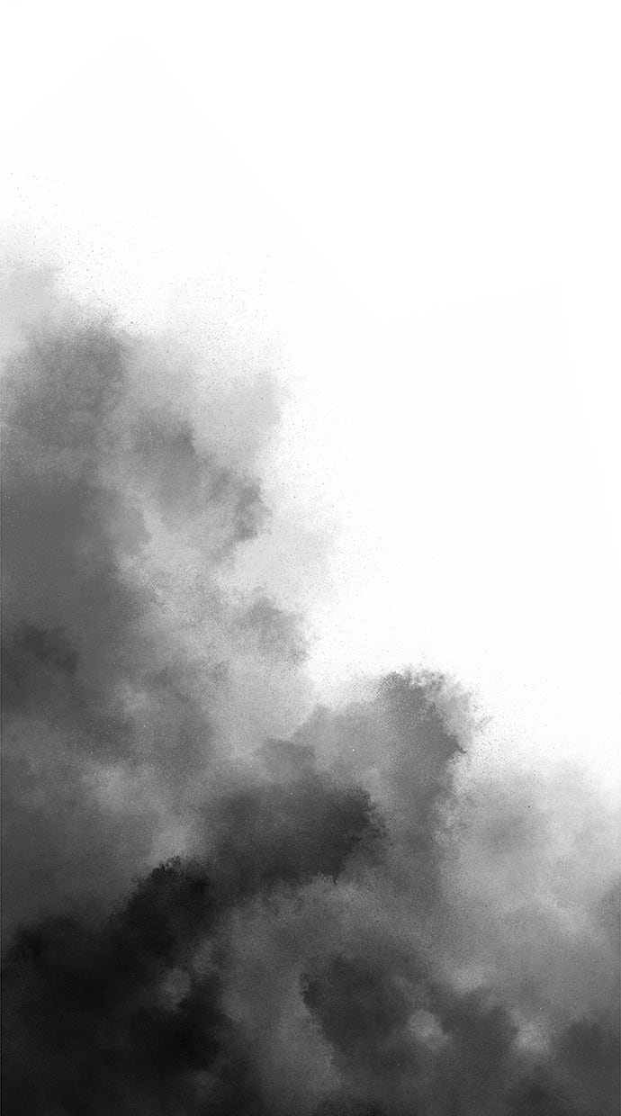 Read The Reborn Young Lord is an Assassin Manga Online