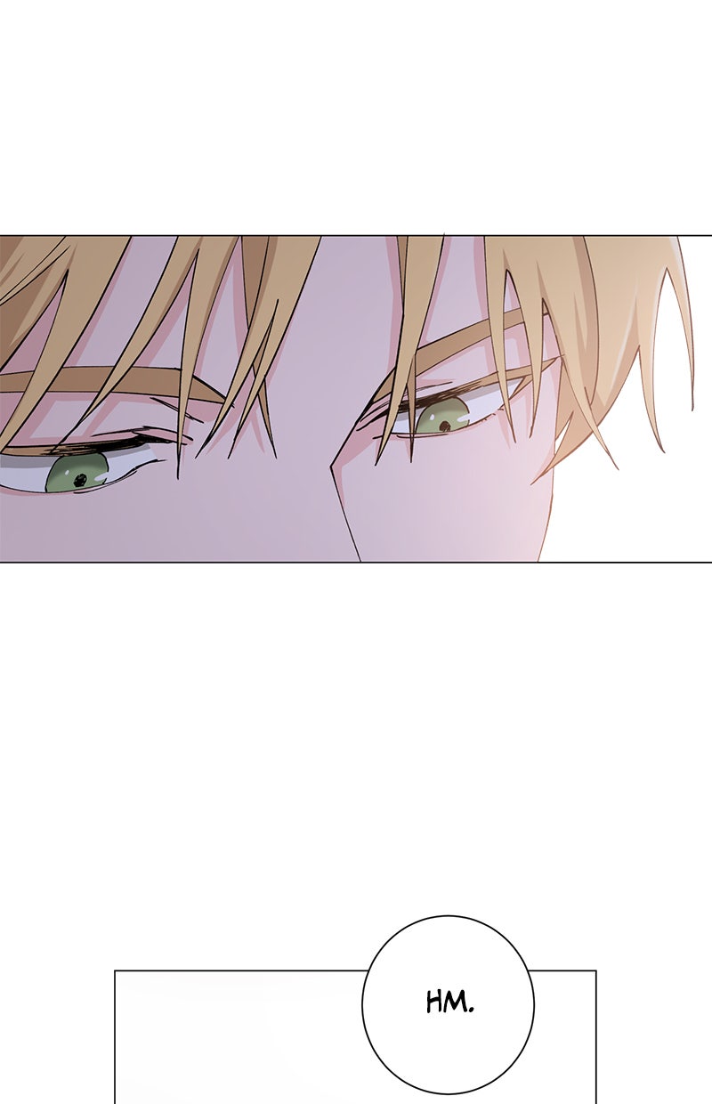 Read Viel Glück, tollkühner Held! Manga Online