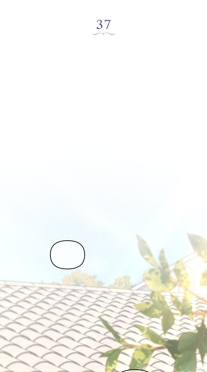 Read Werwölfe sind verrückt nach mir Manga Online