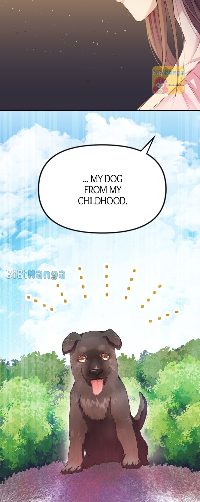 Read A Deceiving Bride and The Fierce Lion Manga Online