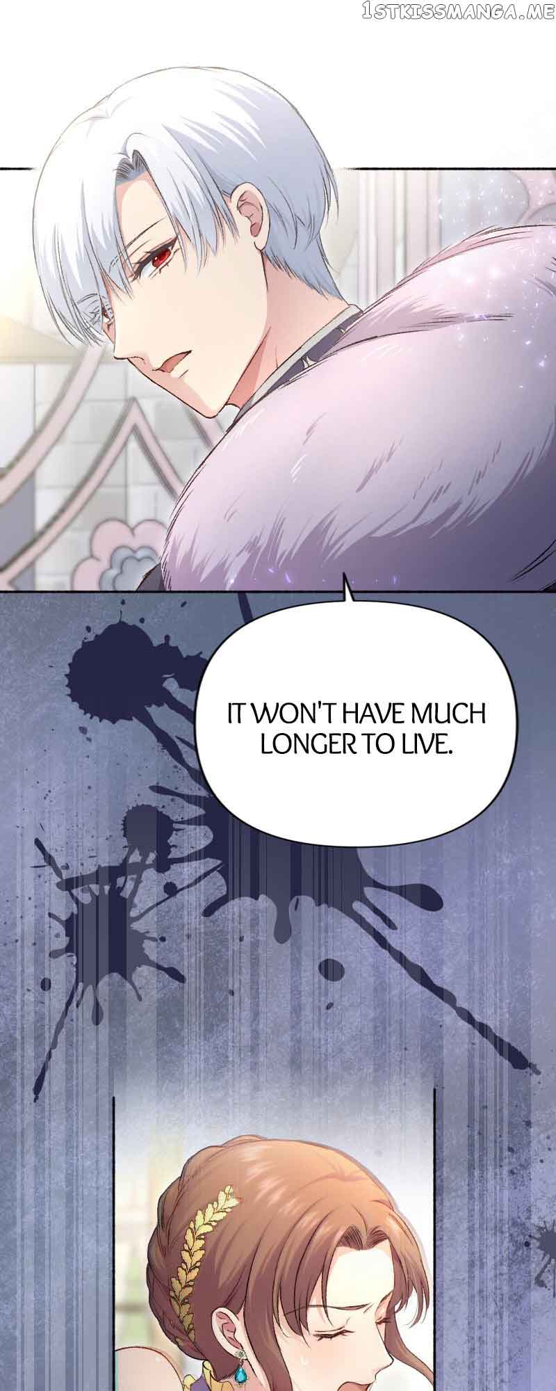 Read A Deceiving Bride and The Fierce Lion Manga Online