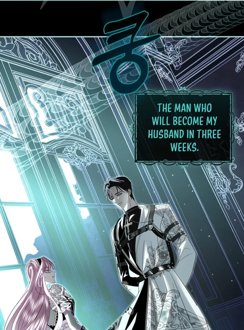 Read Anything But Marriage, Mr. Villain! Manga Online