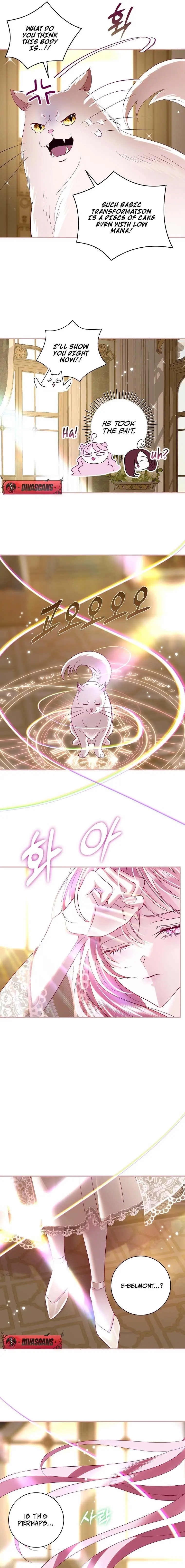 Read Anything But Marriage, Mr. Villain! Manga Online