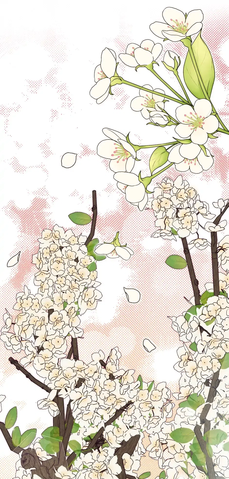 Read Imperial Marriage Manga Online