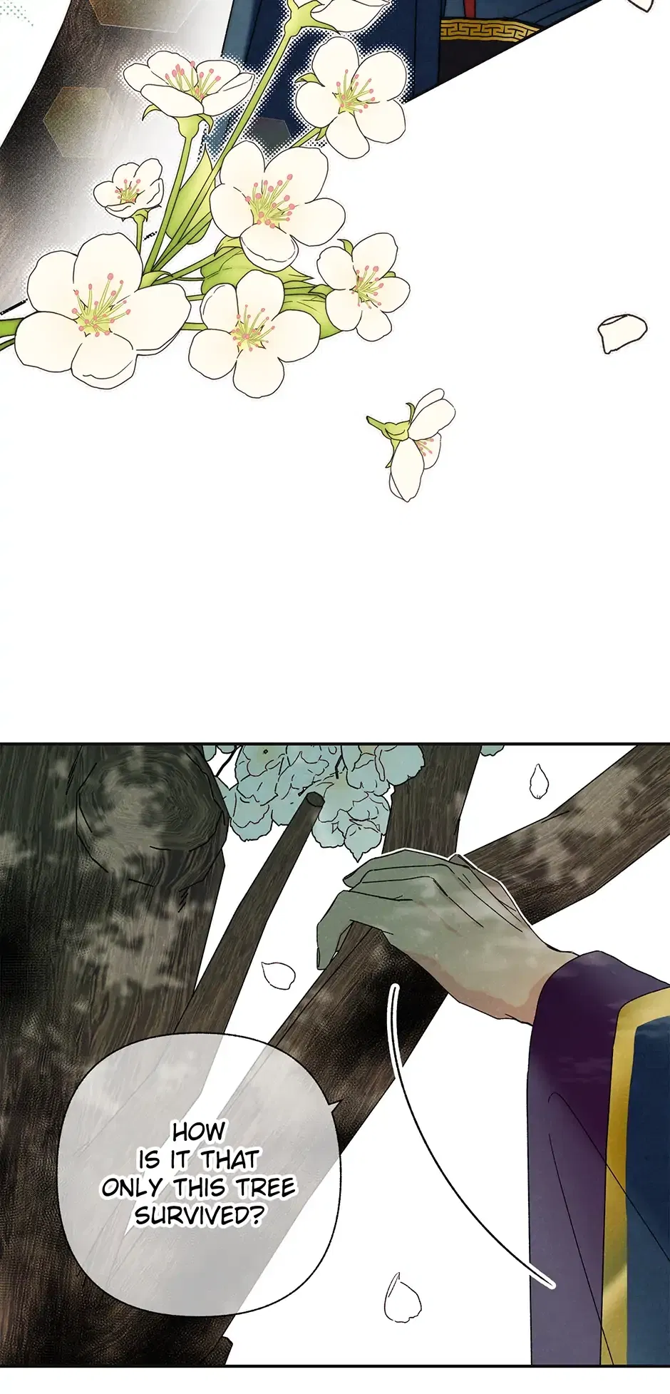 Read Imperial Marriage Manga Online