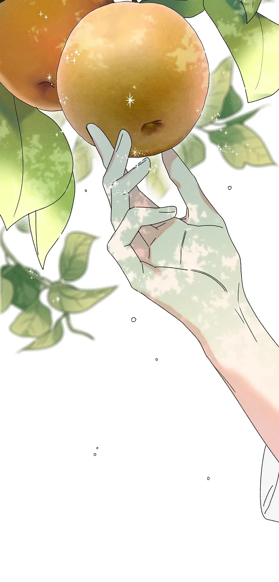 Read Imperial Marriage Manga Online