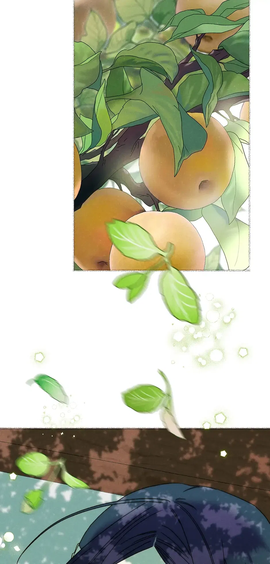 Read Imperial Marriage Manga Online