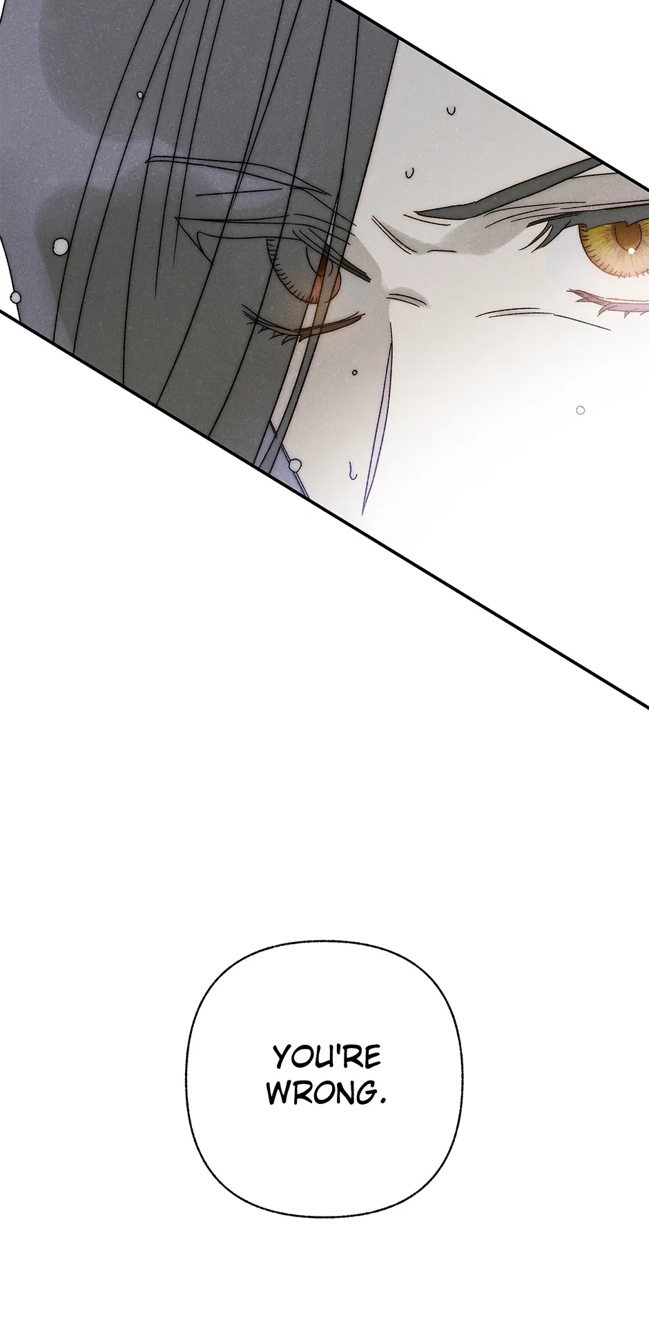 Read Imperial Marriage Manga Online