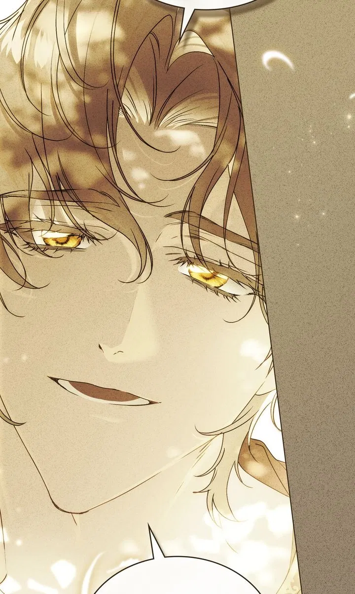 Read It Was Just a Contractual Marriage Manga Online